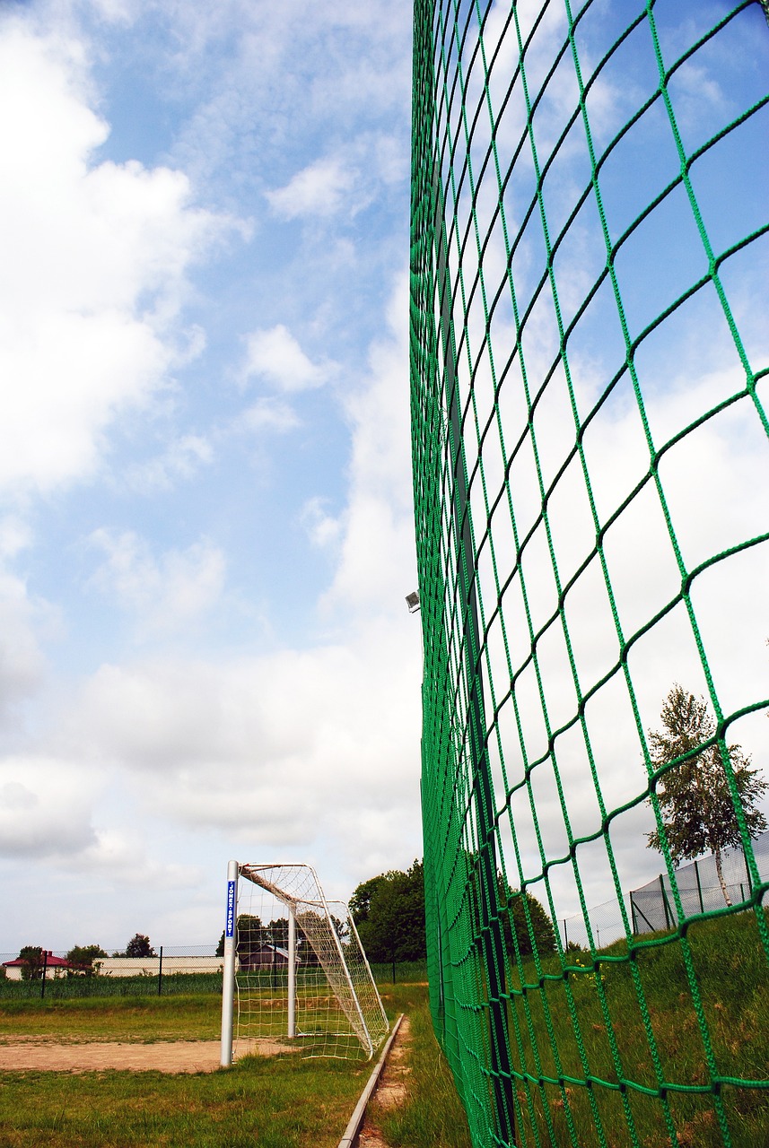 球探体育（2025已更新）最新版本